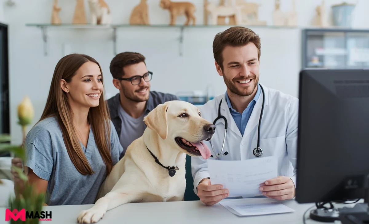 Australian family with happy Labrador at vet clinic while veterinarian reviews records on computer